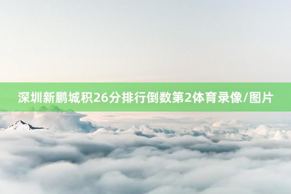 深圳新鹏城积26分排行倒数第2体育录像/图片