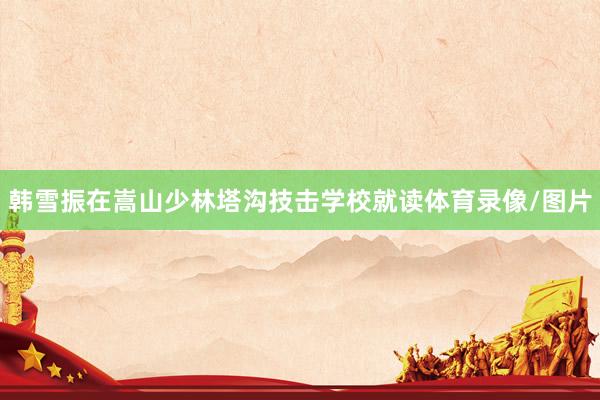 韩雪振在嵩山少林塔沟技击学校就读体育录像/图片