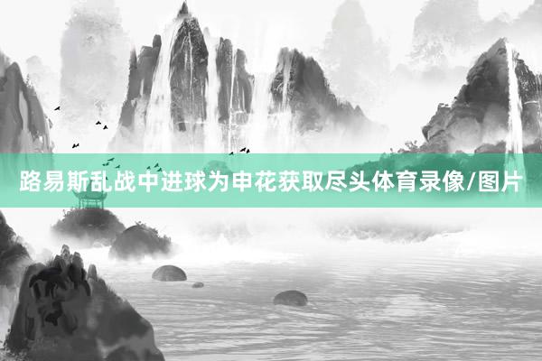 路易斯乱战中进球为申花获取尽头体育录像/图片