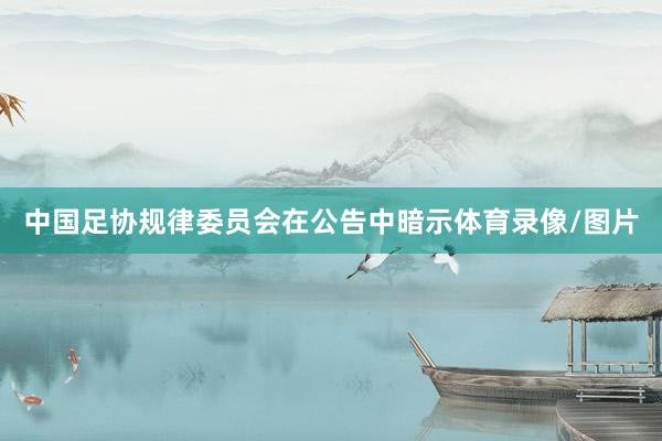 中国足协规律委员会在公告中暗示体育录像/图片