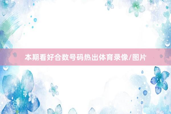 本期看好合数号码热出体育录像/图片