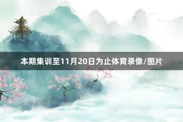 本期集训至11月20日为止体育录像/图片