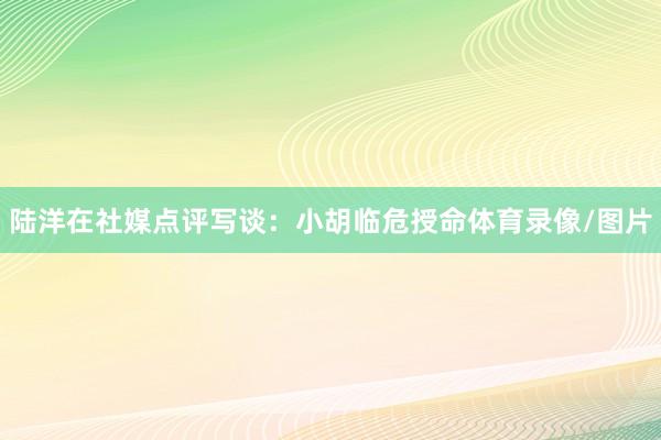 陆洋在社媒点评写谈：小胡临危授命体育录像/图片
