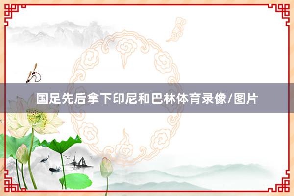 国足先后拿下印尼和巴林体育录像/图片