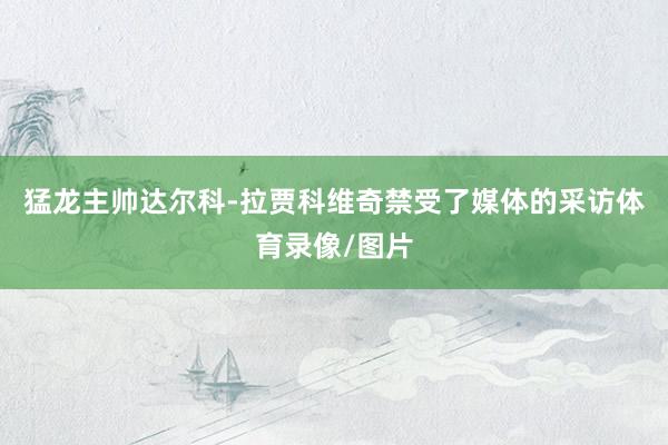 猛龙主帅达尔科-拉贾科维奇禁受了媒体的采访体育录像/图片
