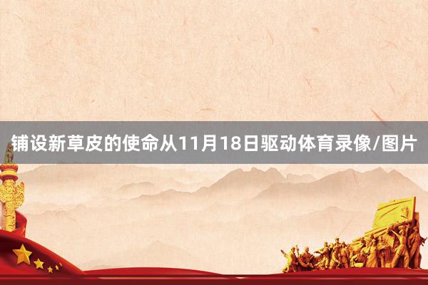 铺设新草皮的使命从11月18日驱动体育录像/图片