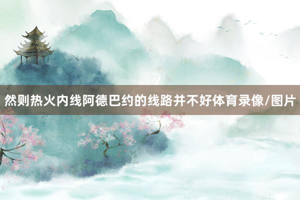 然则热火内线阿德巴约的线路并不好体育录像/图片