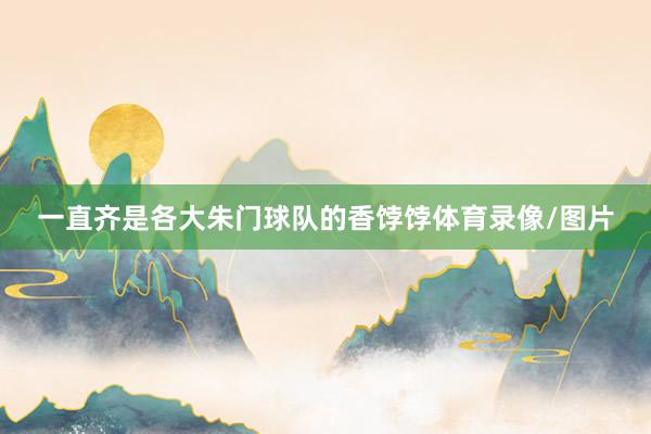 一直齐是各大朱门球队的香饽饽体育录像/图片