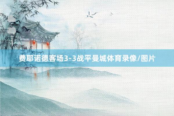 费耶诺德客场3-3战平曼城体育录像/图片