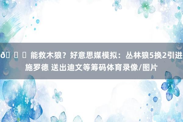👀能救木狼？好意思媒模拟：丛林狼5换2引进施罗德 送出迪文等筹码体育录像/图片