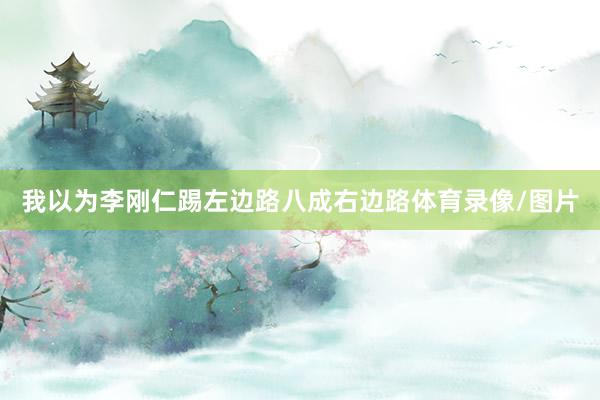 我以为李刚仁踢左边路八成右边路体育录像/图片