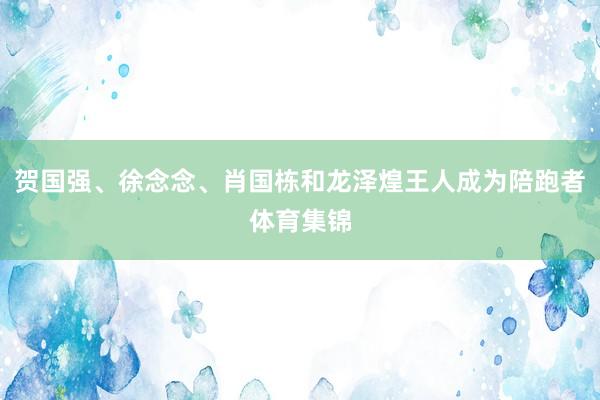 贺国强、徐念念、肖国栋和龙泽煌王人成为陪跑者体育集锦