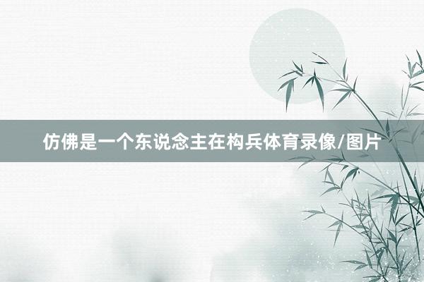 仿佛是一个东说念主在构兵体育录像/图片