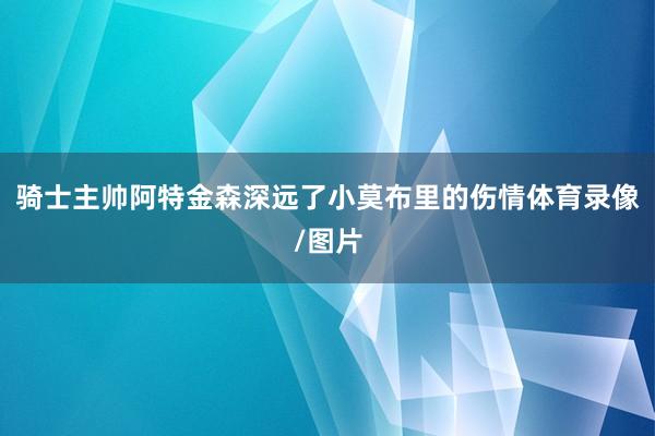 骑士主帅阿特金森深远了小莫布里的伤情体育录像/图片