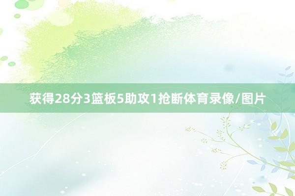 获得28分3篮板5助攻1抢断体育录像/图片