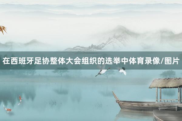 在西班牙足协整体大会组织的选举中体育录像/图片