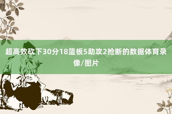 超高效砍下30分18篮板5助攻2抢断的数据体育录像/图片