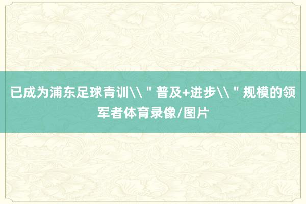 已成为浦东足球青训\＂普及+进步\＂规模的领军者体育录像/图片