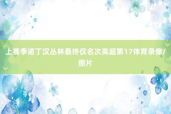 上赛季诺丁汉丛林最终仅名次英超第17体育录像/图片