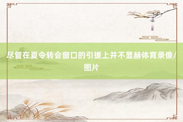 尽管在夏令转会窗口的引援上并不显赫体育录像/图片