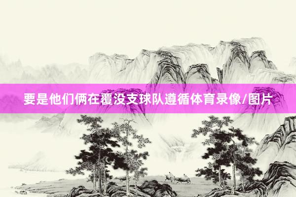 要是他们俩在覆没支球队遵循体育录像/图片