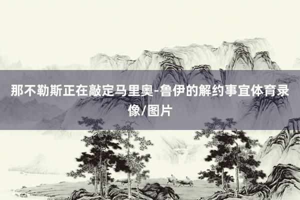 那不勒斯正在敲定马里奥-鲁伊的解约事宜体育录像/图片