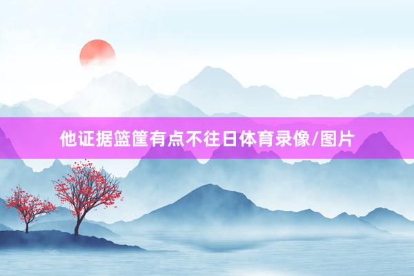他证据篮筐有点不往日体育录像/图片
