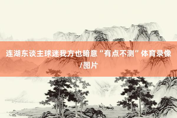 连湖东谈主球迷我方也暗意“有点不测”体育录像/图片