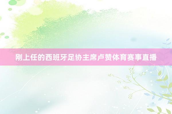 刚上任的西班牙足协主席卢赞体育赛事直播