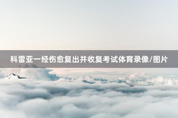 科雷亚一经伤愈复出并收复考试体育录像/图片