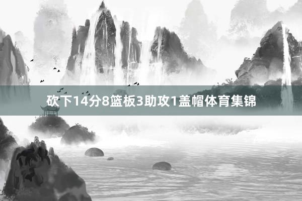 砍下14分8篮板3助攻1盖帽体育集锦