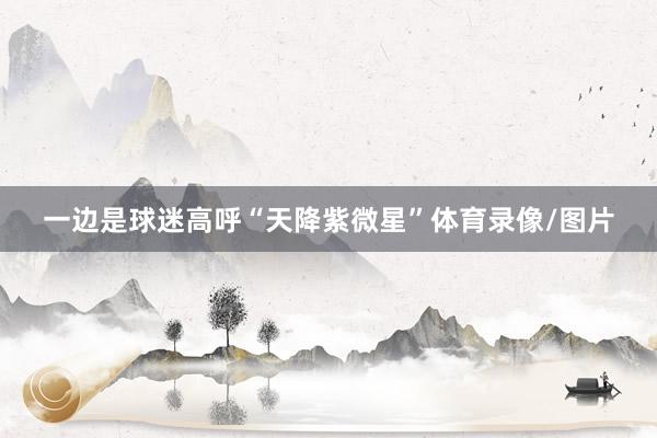 一边是球迷高呼“天降紫微星”体育录像/图片