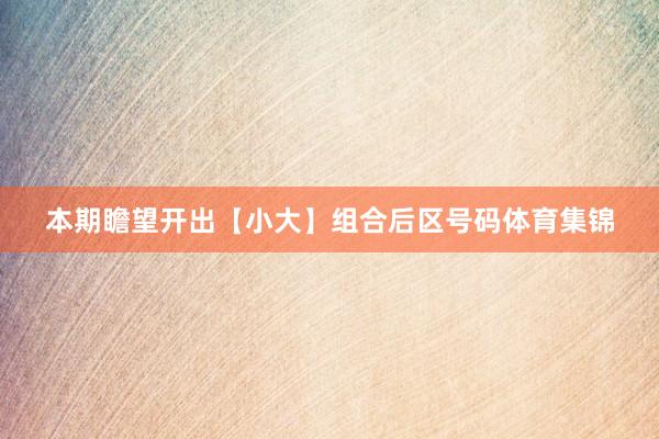 本期瞻望开出【小大】组合后区号码体育集锦