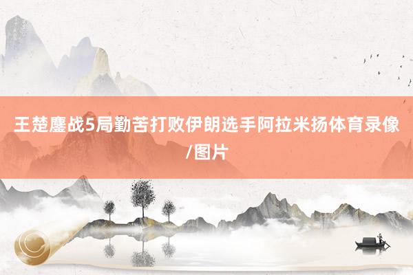 王楚鏖战5局勤苦打败伊朗选手阿拉米扬体育录像/图片