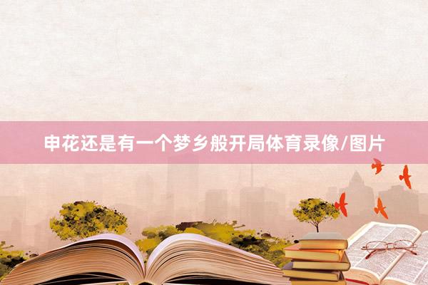 申花还是有一个梦乡般开局体育录像/图片