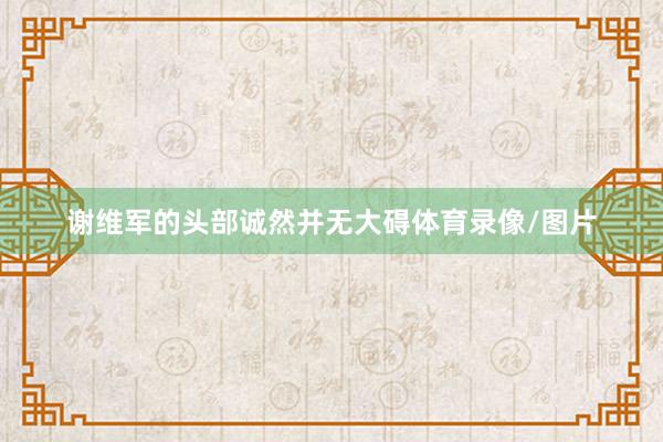 谢维军的头部诚然并无大碍体育录像/图片