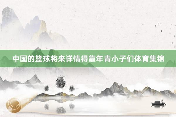 中国的篮球将来详情得靠年青小子们体育集锦
