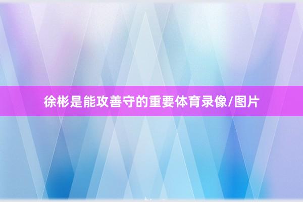 徐彬是能攻善守的重要体育录像/图片