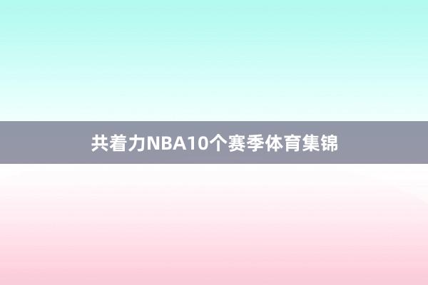 共着力NBA10个赛季体育集锦