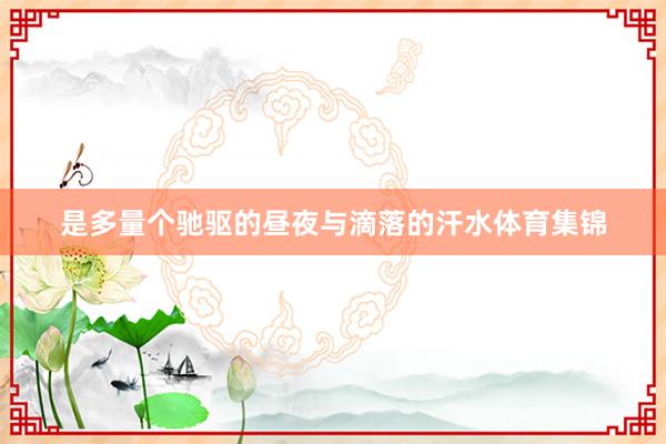 是多量个驰驱的昼夜与滴落的汗水体育集锦