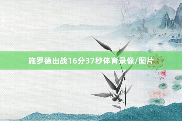 施罗德出战16分37秒体育录像/图片