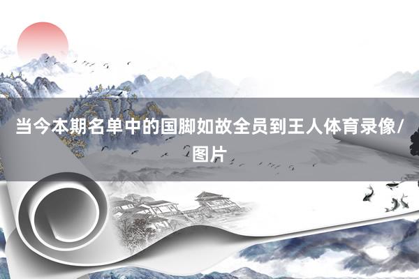 当今本期名单中的国脚如故全员到王人体育录像/图片