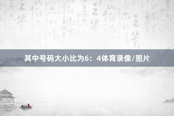 其中号码大小比为6：4体育录像/图片