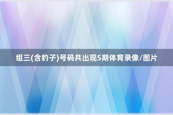 组三(含豹子)号码共出现5期体育录像/图片
