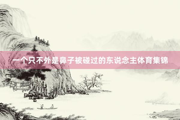 一个只不外是鼻子被碰过的东说念主体育集锦