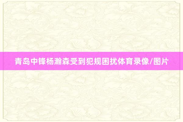青岛中锋杨瀚森受到犯规困扰体育录像/图片