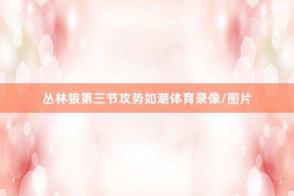 丛林狼第三节攻势如潮体育录像/图片