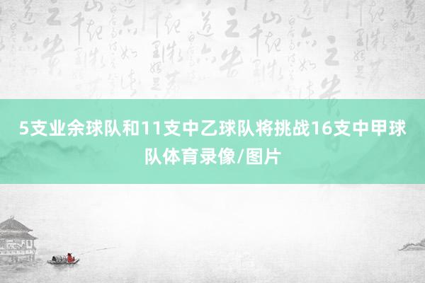 5支业余球队和11支中乙球队将挑战16支中甲球队体育录像/图片