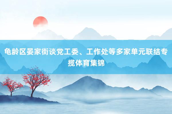 龟龄区晏家街谈党工委、工作处等多家单元联结专揽体育集锦