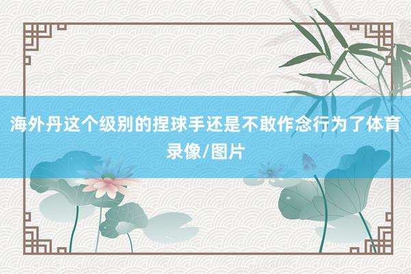 海外丹这个级别的捏球手还是不敢作念行为了体育录像/图片